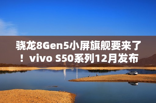 骁龙8Gen5小屏旗舰要来了！vivo S50系列12月发布