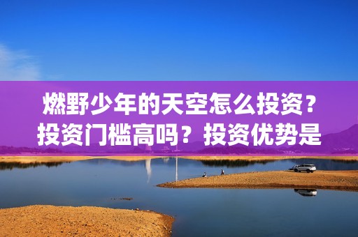 燃野少年的天空怎么投资？投资门槛高吗？投资优势是什么？(燃野少年的天空演员表介绍)