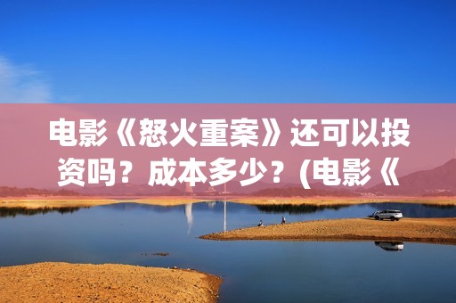 电影《怒火重案》还可以投资吗？成本多少？(电影《怒火重案》国语在线观看)