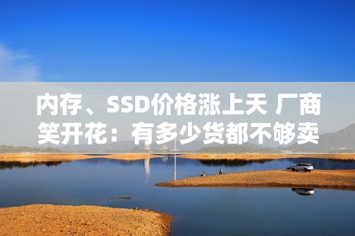 内存、SSD价格涨上天 厂商笑开花：有多少货都不够卖