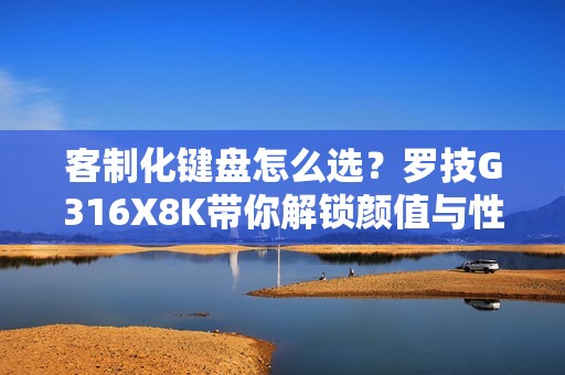 客制化键盘怎么选？罗技G316X8K带你解锁颜值与性能双巅峰