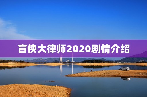 盲侠大律师2020剧情介绍