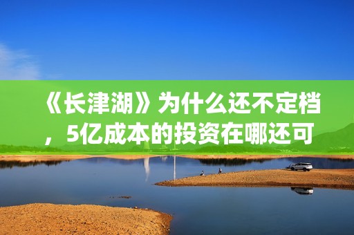 《长津湖》为什么还不定档，5亿成本的投资在哪还可以投资？(长津湖为什么没有朝鲜士兵)