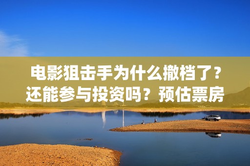 电影狙击手为什么撤档了？还能参与投资吗？预估票房能有多少呢？(狙击手电影为什么撤档)