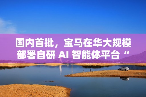 国内首批，宝马在华大规模部署自研 AI 智能体平台“盖亚”