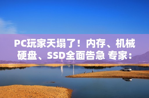 PC玩家天塌了！内存、机械硬盘、SSD全面告急 专家：将涨价十年