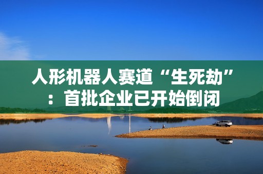 人形机器人赛道“生死劫”：首批企业已开始倒闭