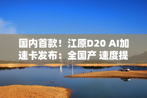 国内首款！江原D20 AI加速卡发布：全国产 速度提升40%