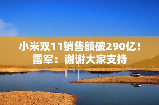 小米双11销售额破290亿！雷军：谢谢大家支持
