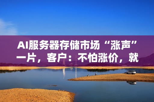AI服务器存储市场“涨声”一片，客户：不怕涨价，就怕没货