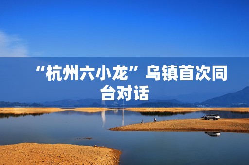 “杭州六小龙”乌镇首次同台对话
