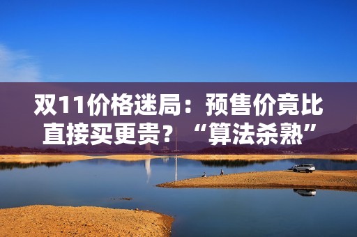 双11价格迷局：预售价竟比直接买更贵？“算法杀熟”再引争议