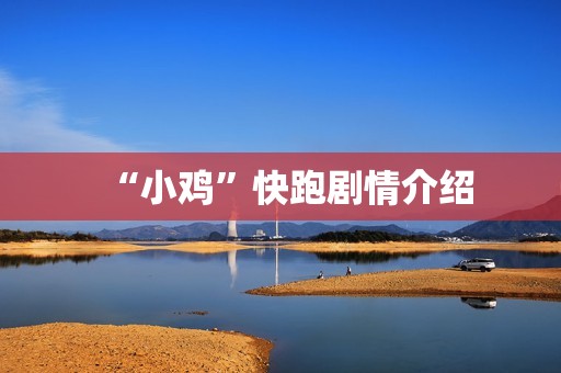 “小鸡”快跑剧情介绍