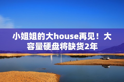 小姐姐的大house再见！大容量硬盘将缺货2年