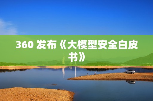 360 发布《大模型安全白皮书》