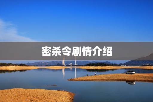 密杀令剧情介绍
