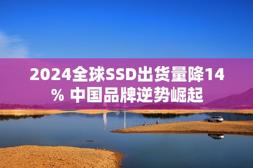 2024全球SSD出货量降14% 中国品牌逆势崛起