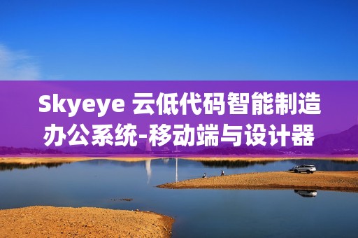 Skyeye 云低代码智能制造办公系统-移动端与设计器功能升级 - Saas v3.17.11 发布