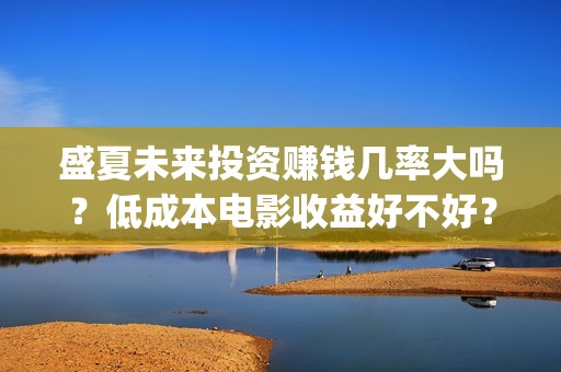 盛夏未来投资赚钱几率大吗？低成本电影收益好不好？(盛夏未来怎么投资)