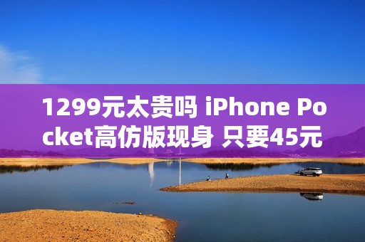 1299元太贵吗 iPhone Pocket高仿版现身 只要45元 号称官方1:1还原