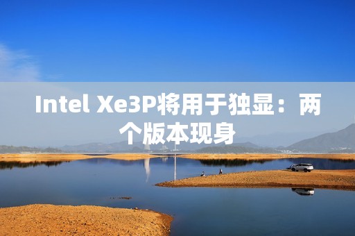 Intel Xe3P将用于独显：两个版本现身