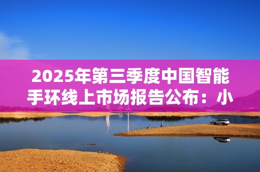 2025年第三季度中国智能手环线上市场报告公布：小米手环登顶行业第一！