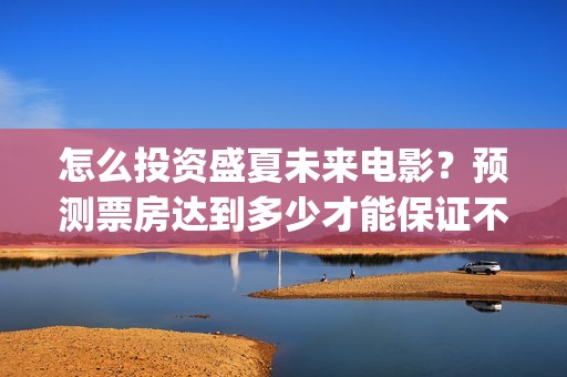 怎么投资盛夏未来电影？预测票房达到多少才能保证不亏损？(盛夏未来总投资)
