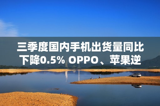 三季度国内手机出货量同比下降0.5% OPPO、苹果逆增