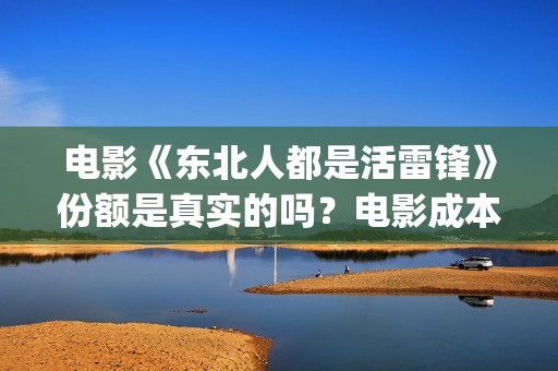 电影《东北人都是活雷锋》份额是真实的吗？电影成本是多少的呢？(东北人dj)