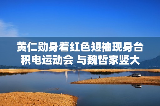 黄仁勋身着红色短袖现身台积电运动会 与魏哲家竖大拇指合影