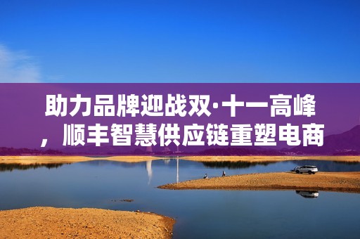 助力品牌迎战双·十一高峰，顺丰智慧供应链重塑电商物流体验