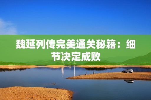 魏延列传完美通关秘籍：细节决定成败