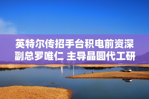 英特尔传招手台积电前资深副总罗唯仁 主导晶圆代工研发部门