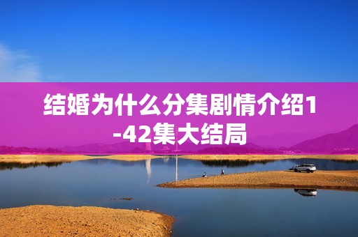 结婚为什么分集剧情介绍1-42集大结局