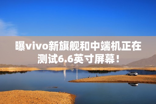 曝vivo新旗舰和中端机正在测试6.6英寸屏幕！