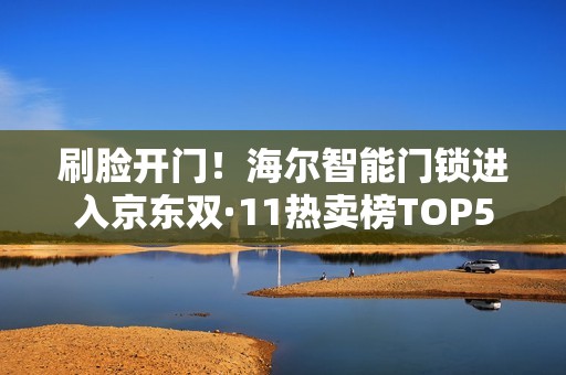 刷脸开门！海尔智能门锁进入京东双·11热卖榜TOP5