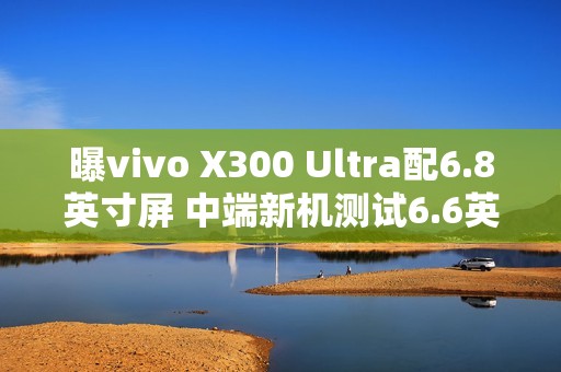曝vivo X300 Ultra配6.8英寸屏 中端新机测试6.6英寸？