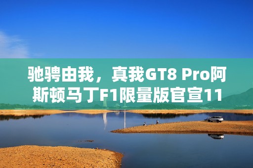 驰骋由我，真我GT8 Pro阿斯顿马丁F1限量版官宣11月10日开售
