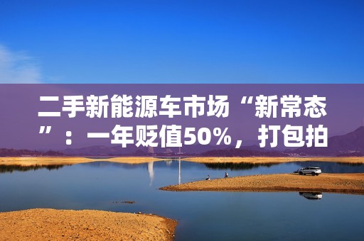 二手新能源车市场“新常态”：一年贬值50%，打包拍卖成主流