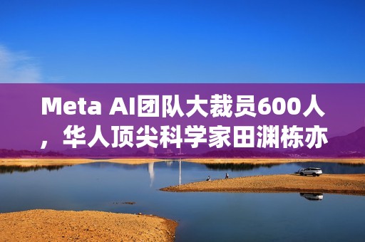 Meta AI团队大裁员600人，华人顶尖科学家田渊栋亦在其中