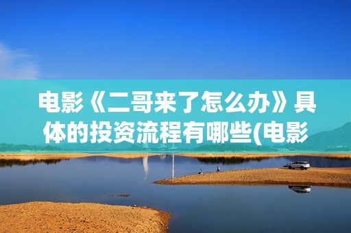 电影《二哥来了怎么办》具体的投资流程有哪些(电影二哥来了怎么办好看吗)