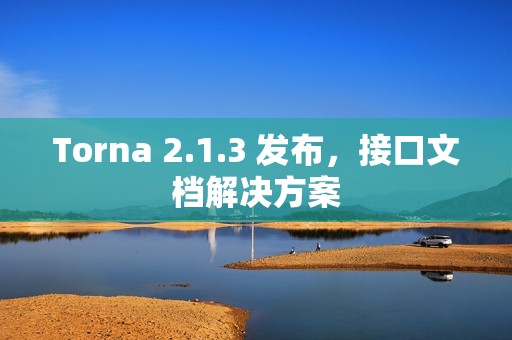 Torna 2.1.3 发布，接口文档解决方案