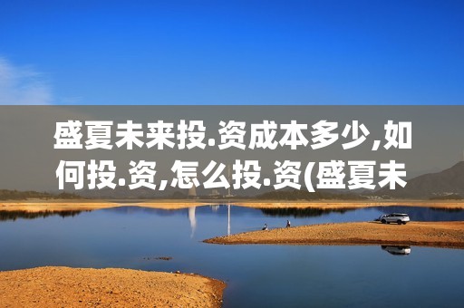 盛夏未来投.资成本多少,如何投.资,怎么投.资(盛夏未来亏本)