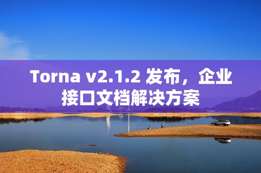 Torna v2.1.2 发布，企业接口文档解决方案