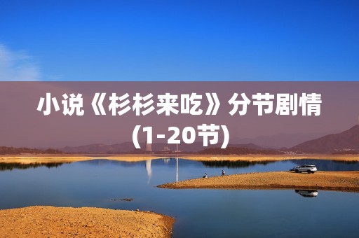 小说《杉杉来吃》分节剧情(1-20节)