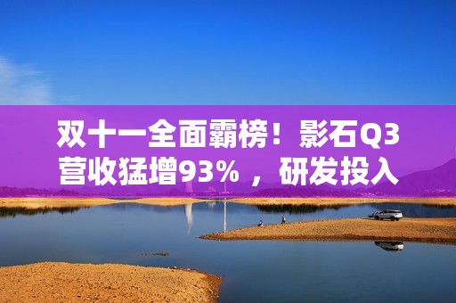 双十一全面霸榜！影石Q3营收猛增93% ，研发投入翻倍加码定制芯片