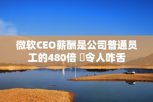 微软CEO薪酬是公司普通员工的480倍 ‌令人咋舌