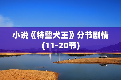 小说《特警犬王》分节剧情(11-20节)