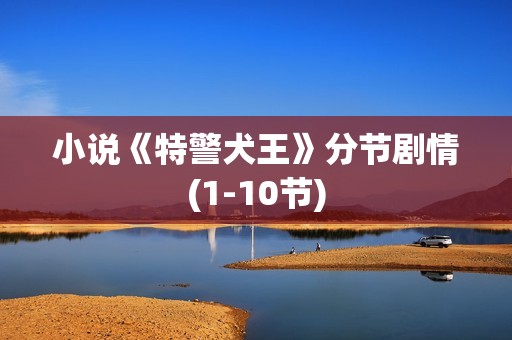 小说《特警犬王》分节剧情(1-10节)