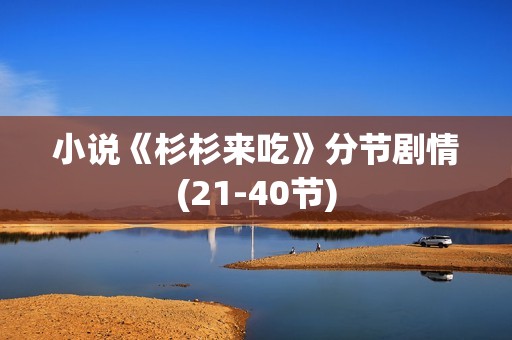 小说《杉杉来吃》分节剧情(21-40节)